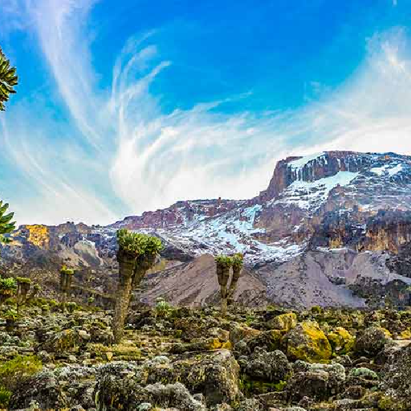 9 DAYS LEMOSHO ROUTE – KILIMANJARO TREKKING ADVENTURE